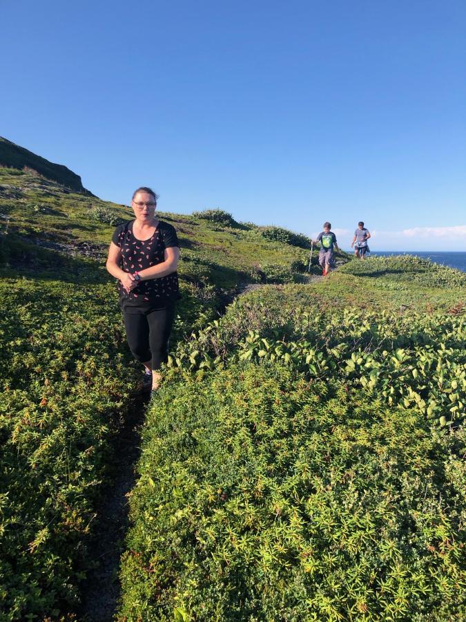 Valhalla Near L'Anse Aux Meadows Eksteriør billede